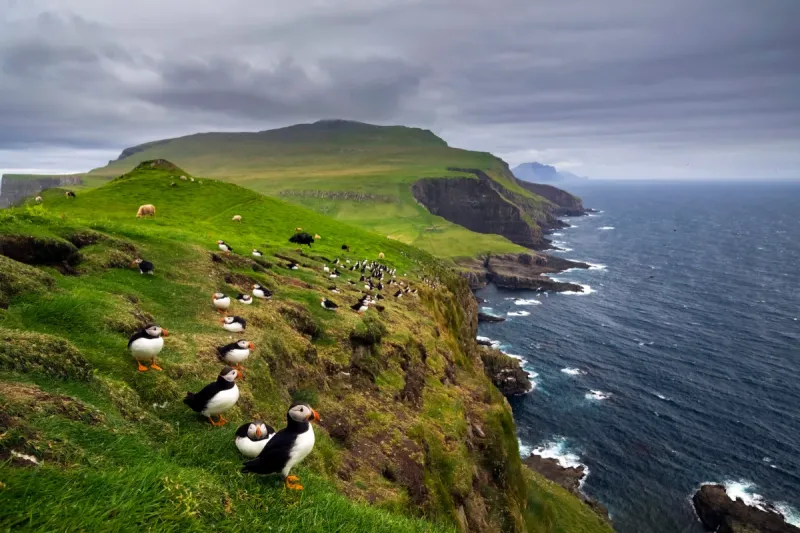 Islas Feroe: la Europa salvaje que resiste al turismo masivo