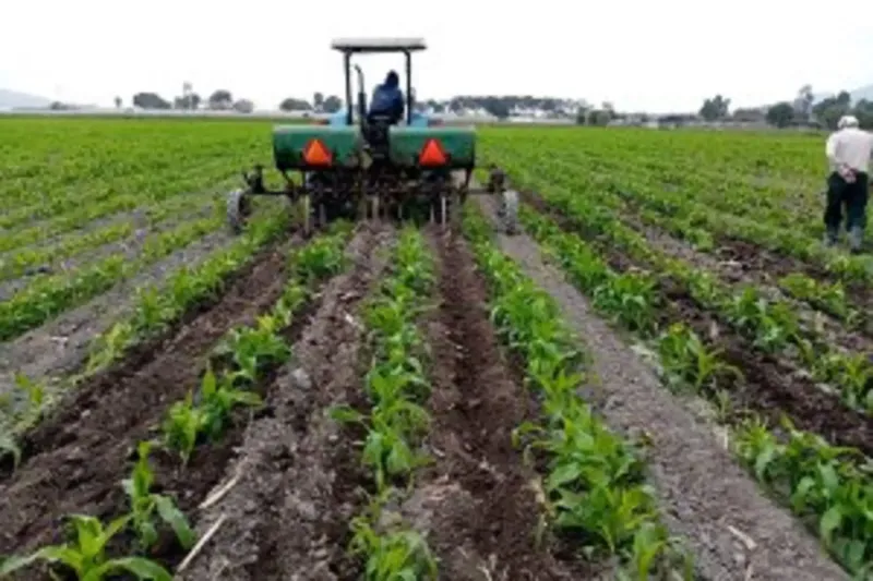 Perú: el sector agropecuario se expandió 2.4% en el primer bimestre del 2026