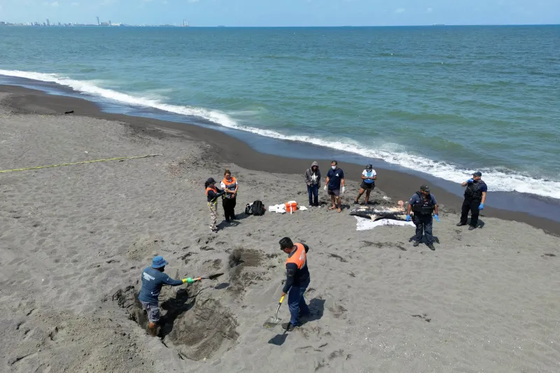 Día a día del derrame de petróleo en el Golfo de México: cronología de una emergencia ambiental ocultada por Pemex