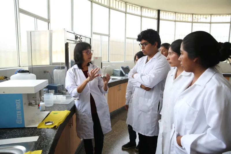 Transfieren más de S/20 millones para bono a docentes investigadores: ¿cuánto les tocará?