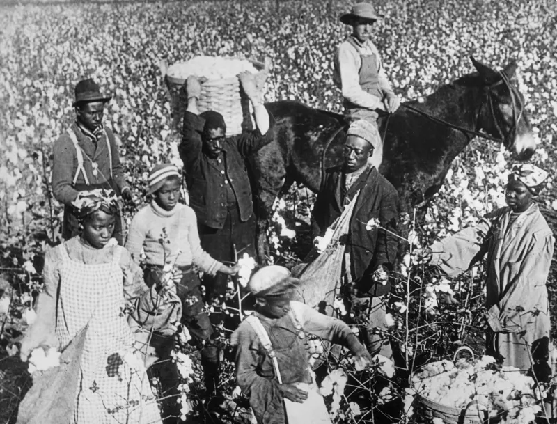 Jake Richards, historiador: “Durante la abolición se crearon nuevas formas de desigualdad e injusticia y necesitamos resolver cómo lo reparamos”