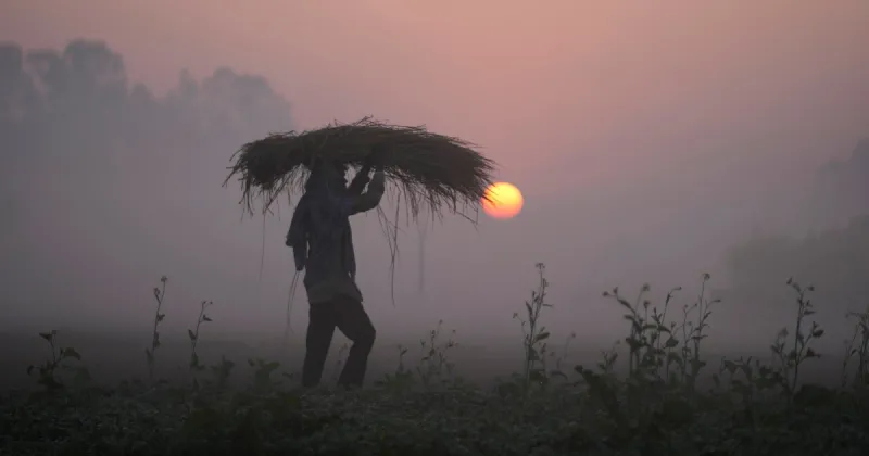 As Iran crisis drags on, fears of global food crisis grow