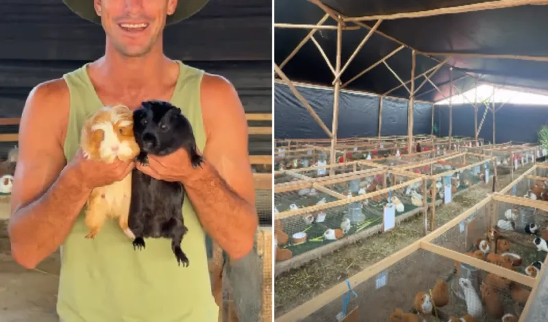 Exfigura de 'Esto es guerra' triunfa con su granja de cuyes en el campo tras dejar la televisión: "Si supieran que 24/7 estoy sucio"