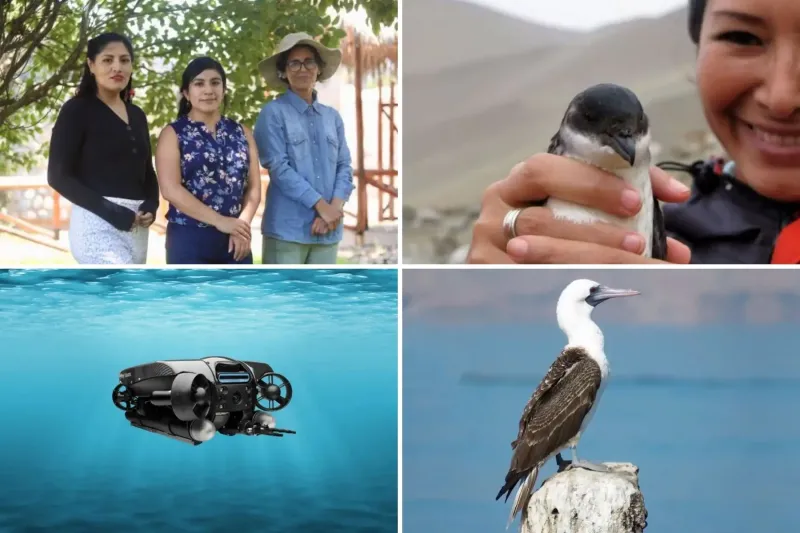 Día de la Tierra: conoce las investigaciones que buscan preservar el medio ambiente