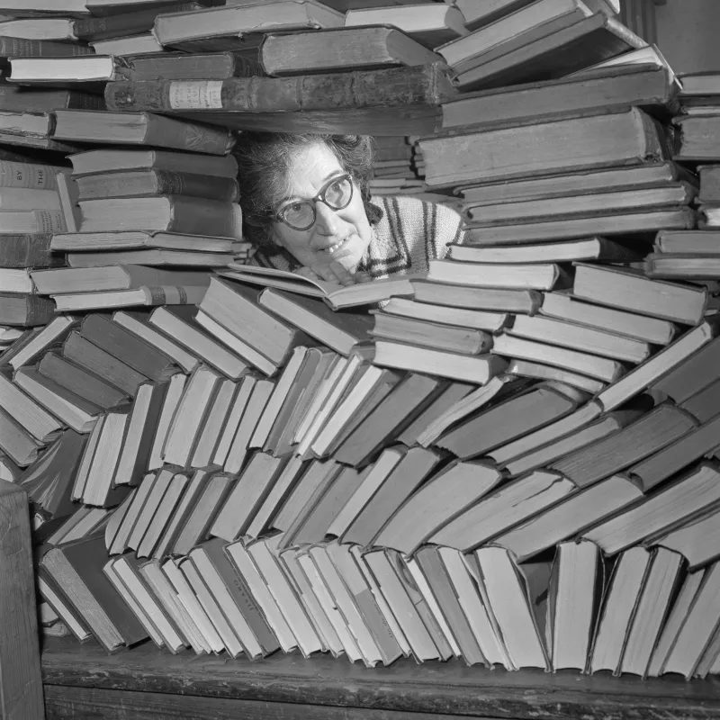 Entre superventas y ‘tiktokers’: apuntes desde la clase media literaria española