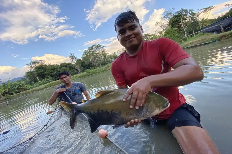 Fondepes celebra el Día del Libro con manuales gratuitos para impulsar la acuicultura