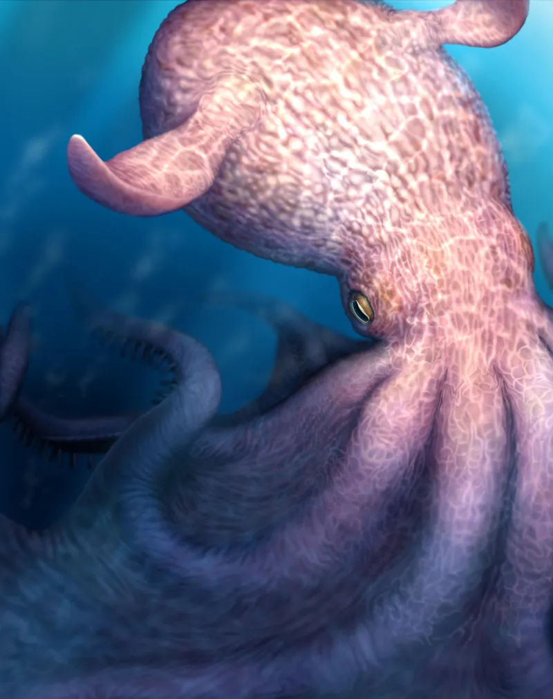 El kraken era real: descubierto un pulpo carnívoro de hace cien millones de años que medía 19 metros