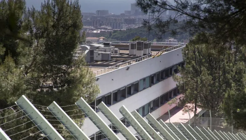 Los de mil abandonos