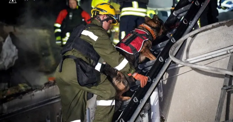 Ukrainian married couple aged 75 killed in Russian attack on Odesa