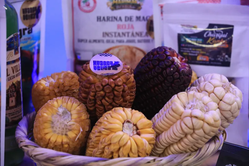 'Marca Huancavelica' distinguirá a productos, manifestaciones y personajes de la región