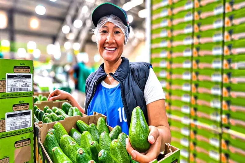 Agromercado impulsa negocios agrarios con plataforma digital que conecta oferta y demanda