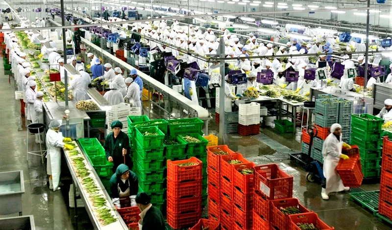 Perú encabeza crecimiento de exportaciones no tradicionales de los últimos cinco años en la región, según BCR