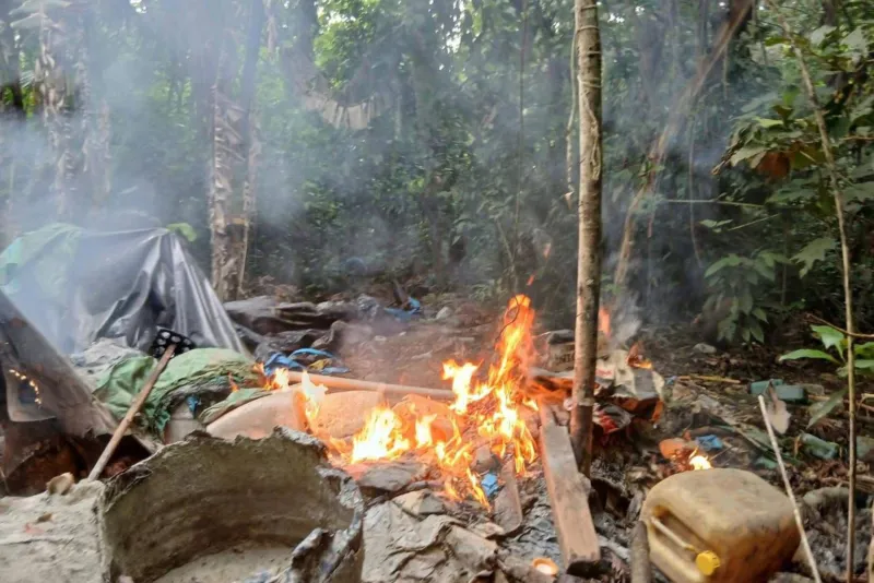 Ejército destruye 12 laboratorios clandestinos y toneladas de hoja de coca en Ayacucho