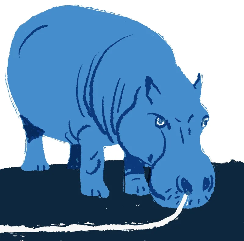 Hipopótamos y novelas