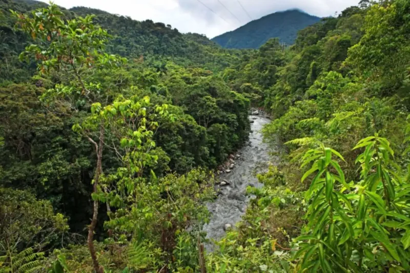 Perú incrementa extensión de sus áreas naturales protegidas a 25.8 millones de hectáreas