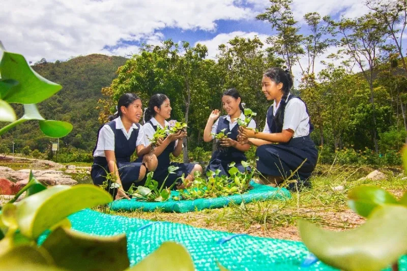 Escolares ya pueden postular sus iniciativas tecnológicas en concurso Solve for Tomorrow