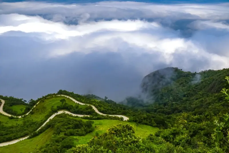Bosques Nublados de Udima pasan a jurisdicción de fiscalía especializada de Lambayeque