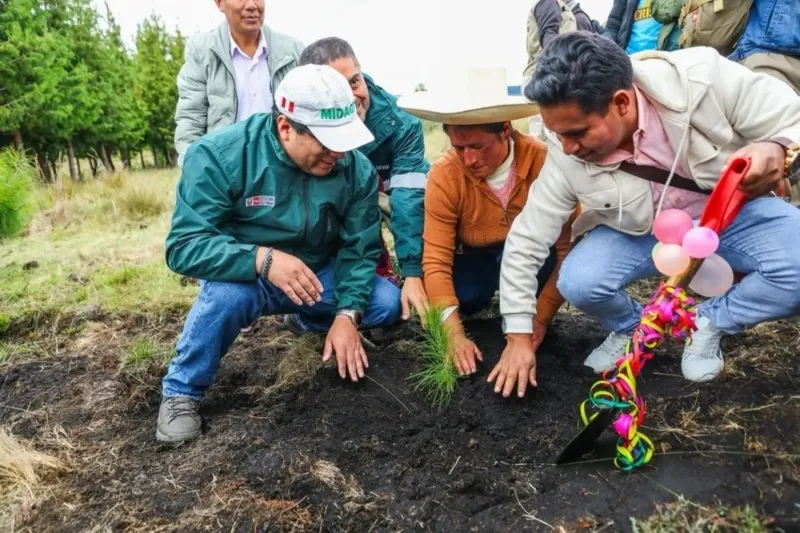 Programa Bosques Productivos dinamizará inversión en 7 regiones con más de 4,000 empleos