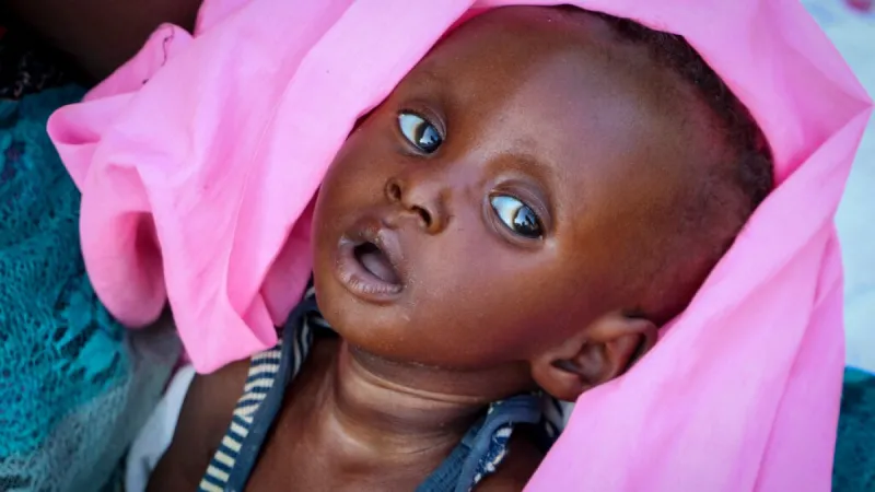 Nearly eight million people in South Sudan at risk of acute hunger: NGOs