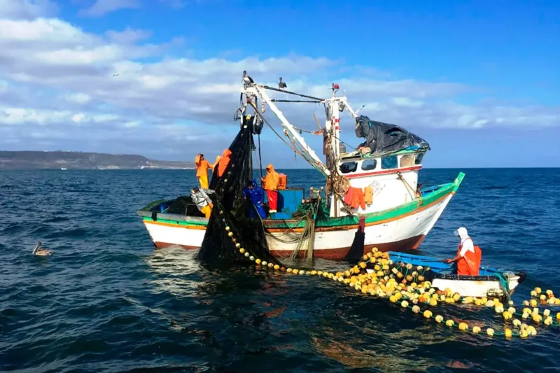 Gobierno aprueba normas para régimen excepcional de pago de multas en pesca y acuicultura