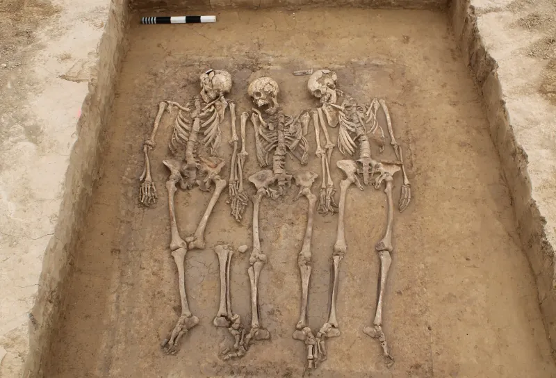 La genética revela que la caída del Imperio romano moldeó a la población europea: “Desde el principio, comenzaron a mezclarse”