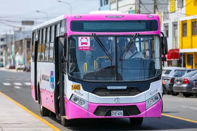 Callao presenta buses del Corredor Rosado: conoce cuál es su ruta y tarifa promocional