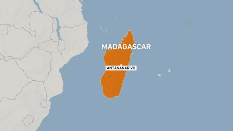 Madagascar detains French ex-serviceman over alleged destabilisation plot