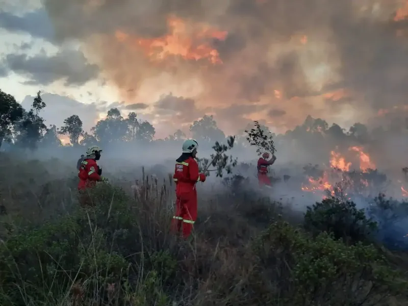 Amazonas: inician capacitación de brigadistas para combatir incendios forestales