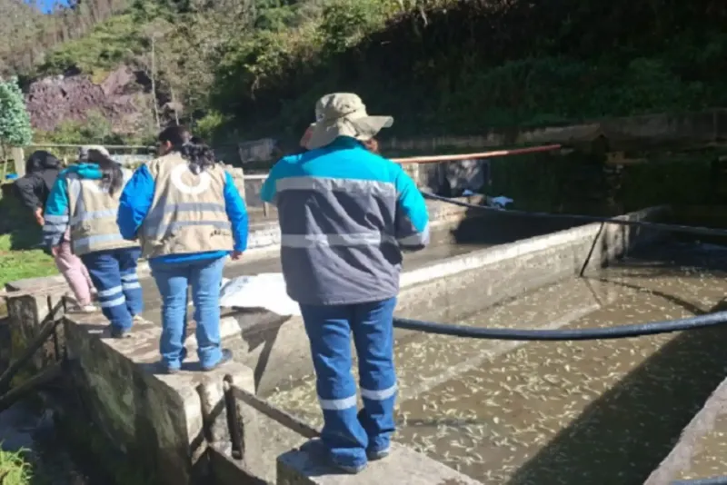 Junín: OEFA realizó diligencia por muerte masiva de truchas en piscigranjas de Pariahuanca