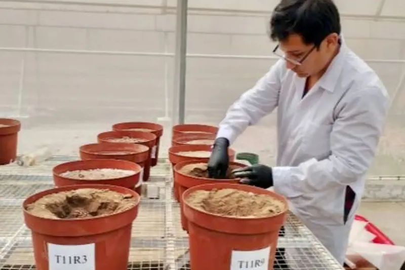 Investigación genera nuevo fertilizante de guano de las islas denominado GIMAX13