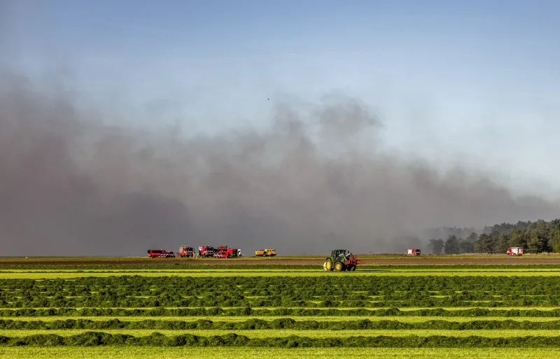 Países Bajos pide ayuda para frenar una ola de incendios forestales, cuatro de ellos, en campos militares