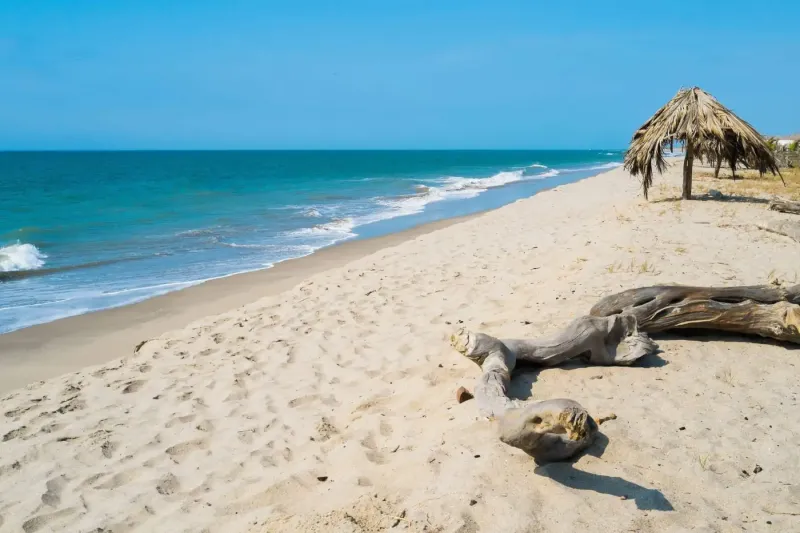 Miles de turistas ecuatorianos visitan playas de Tumbes por el feriado del Día del Trabajo