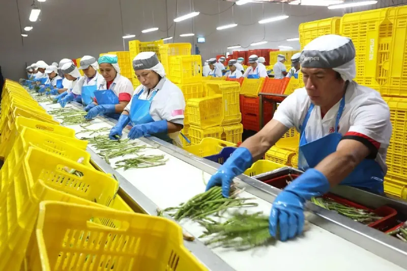 Trabajo, perseverancia y lucha: el mayor orgullo de los peruanos, según estudio [video]