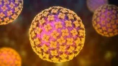 Qué es el hantavirus, la infección sospechosa de causar 3 muertes en un crucero que zarpó de Ushuaia (y cuán extendido está en Argentina)