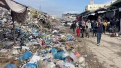 "Las ratas están saliendo de las tiendas": los campamentos de Gaza invadidos por roedores transmisores de enfermedades