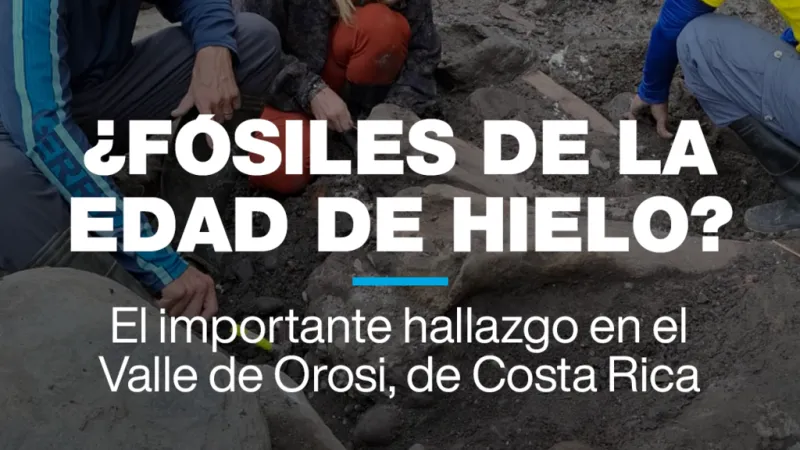 ¿Fósiles de la Edad de hielo? El importante hallazgo en Costa Rica