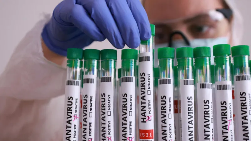 Brote de hantavirus: Argentina, centro de las investigaciones, mientras el crucero se dirige a Canarias