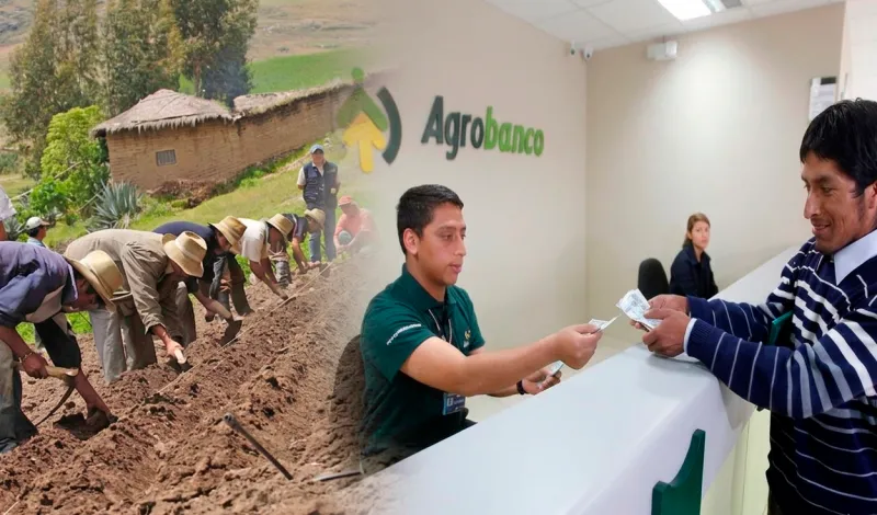 Midagri: Fondo Agroperú destina más de S/226 millones en créditos agropecuarios beneficiando a 14.059 pequeños productores del país