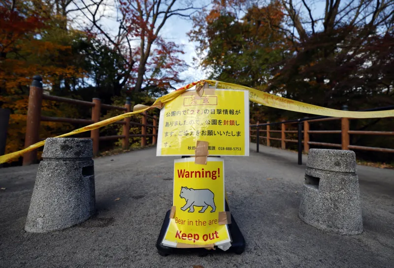 Japón confirma su primer ataque mortal de un oso de la temporada e  investiga otros dos posibles casos