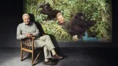 David Attenborough cumple 100 años: cómo se hizo "La vida en la Tierra", el documental que transformó nuestra manera de ver la naturaleza