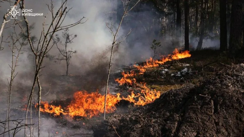 Chernóbil sufre un incendio forestal de más de 1.000 hectáreas en zona radiactiva tras la caída de dos drones