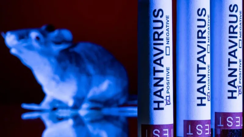 La UE descarta mutaciones en el hantavirus; se agrava el estado de la paciente francesa