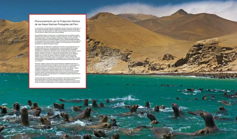 Congreso: Más de 400 científicos piden aprobar ley que protege áreas marinas de la pesca industrial