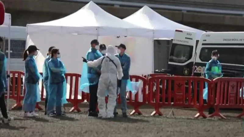 OMS alerta que podría haber más casos de hantavirus; ECDC asegura que virus no ha mutado