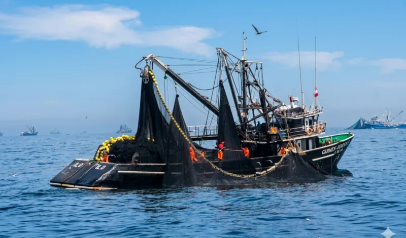 Congresistas exigen debatir ley que prohíbe pesca industrial en las reservas