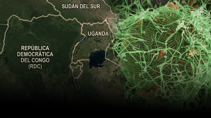 ¿Por qué el ébola sigue siendo tan letal?