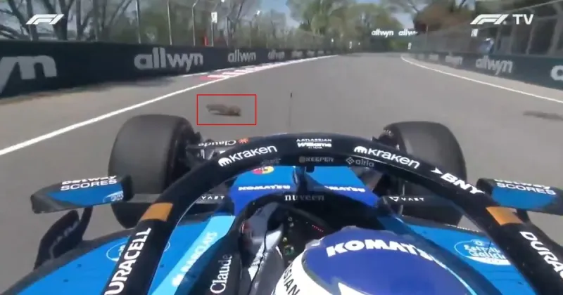 Insólito accidente en la Fórmula 1: Alex Albon atropelló una marmota en el GP de Canadá, destrozó parte su Williams y no pudo correr la qualy del sprint