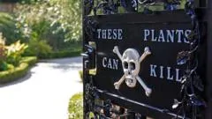 Cómo es el Jardín de los Venenos, que alberga más de 100 plantas tóxicas (incluida la más venenosa del mundo)