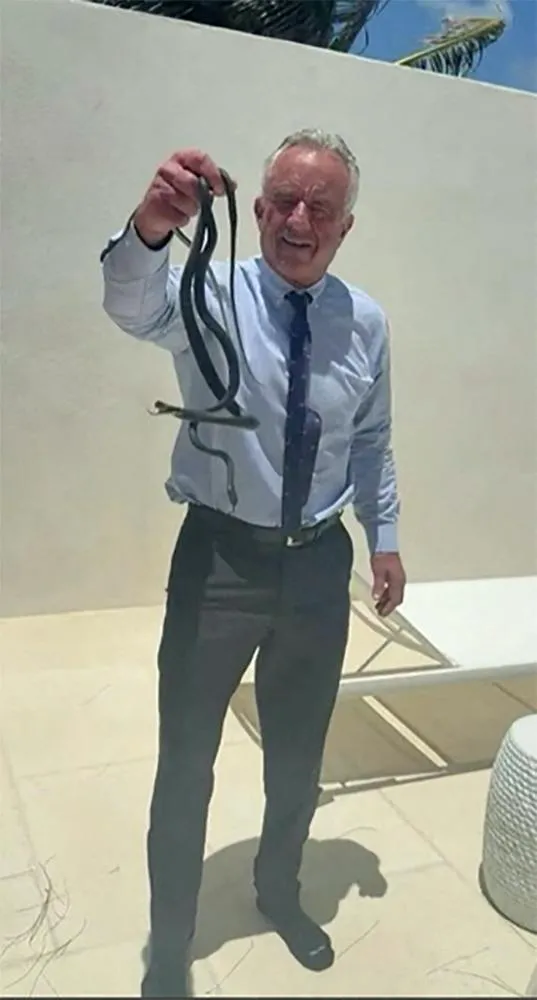 El secretario de Salud de EEUU, Robert F. Kennedy Jr., genera polémica al manipular serpientes en un video viral