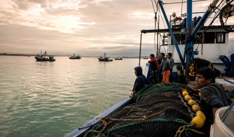 Produce paraliza pesca de anchoveta por El Niño Costero hasta el 10 de junio: ¿qué advierte Imarpe tras la ampliación de la medida?